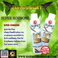 532-ฮอร์โมนนกนางแอ่น Super Hormone